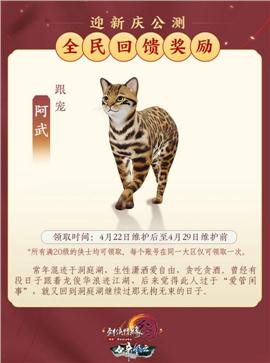 传奇私服天剑诀